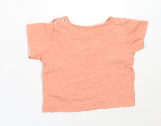 Marks and Spencer Girls Orange Cotton Basic T-Shirt Size 6-9 Months Round Neck