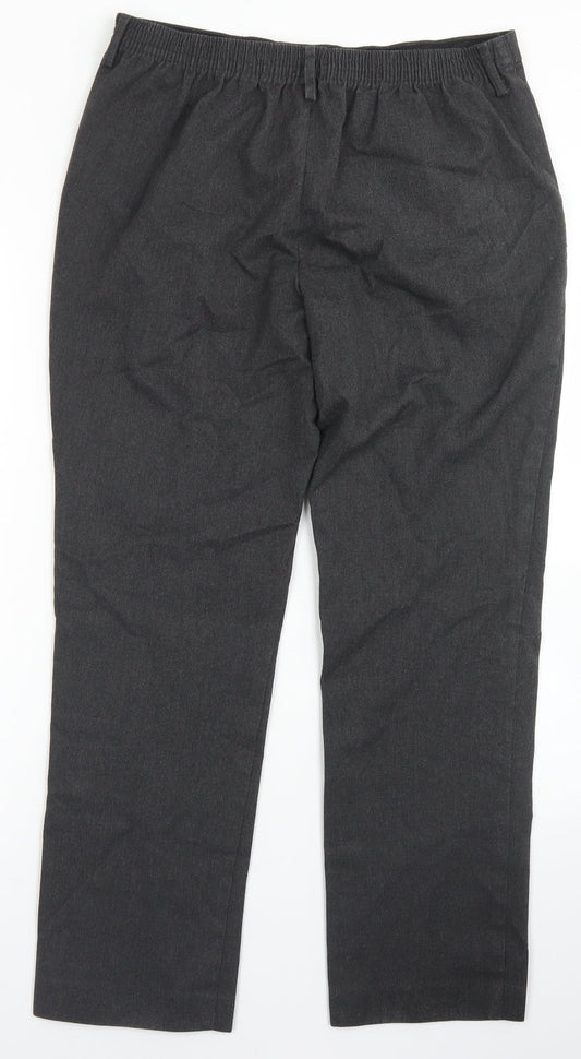 Winterbottom's Mens Grey Polyester Dress Pants Trousers Size 34 in L28 in Regular Hook & Eye