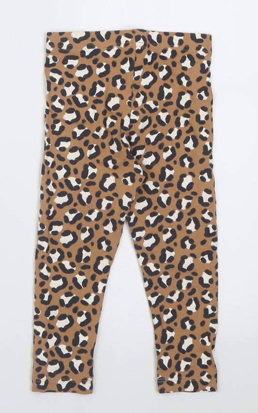 George Girls Brown Animal Print Cotton Capri Trousers Size 2-3 Years Regular Pullover