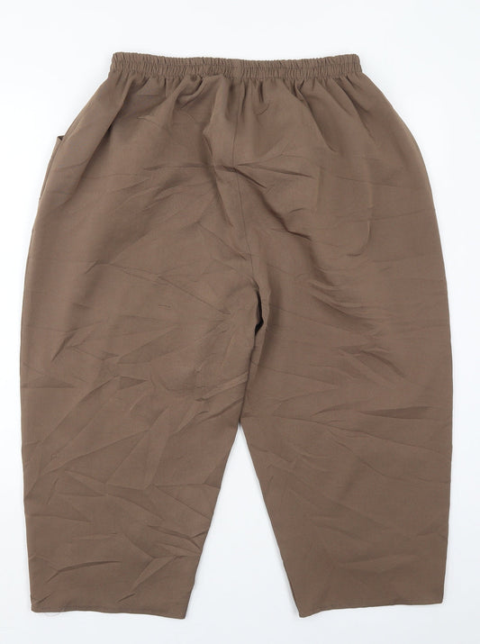 Preworn Womens Brown Polyester Trousers Size 30 in Regular