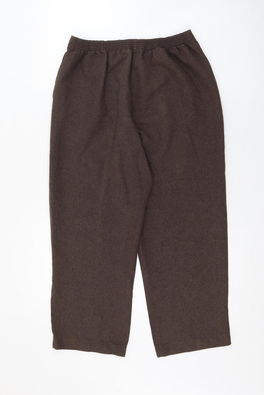 Bonmarché Womens Brown Polyester Trousers Size 10 L21.5 in Regular