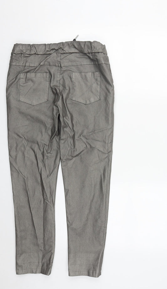 Preworn Womens Silver Viscose Sweatpants Trousers Size 28 in L26 in Regular Drawstring