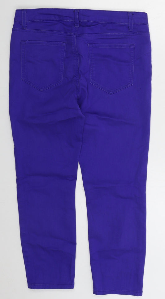 RW & Co Womens Blue Cotton Skinny Jeans Size 30 in L22 in Regular Button
