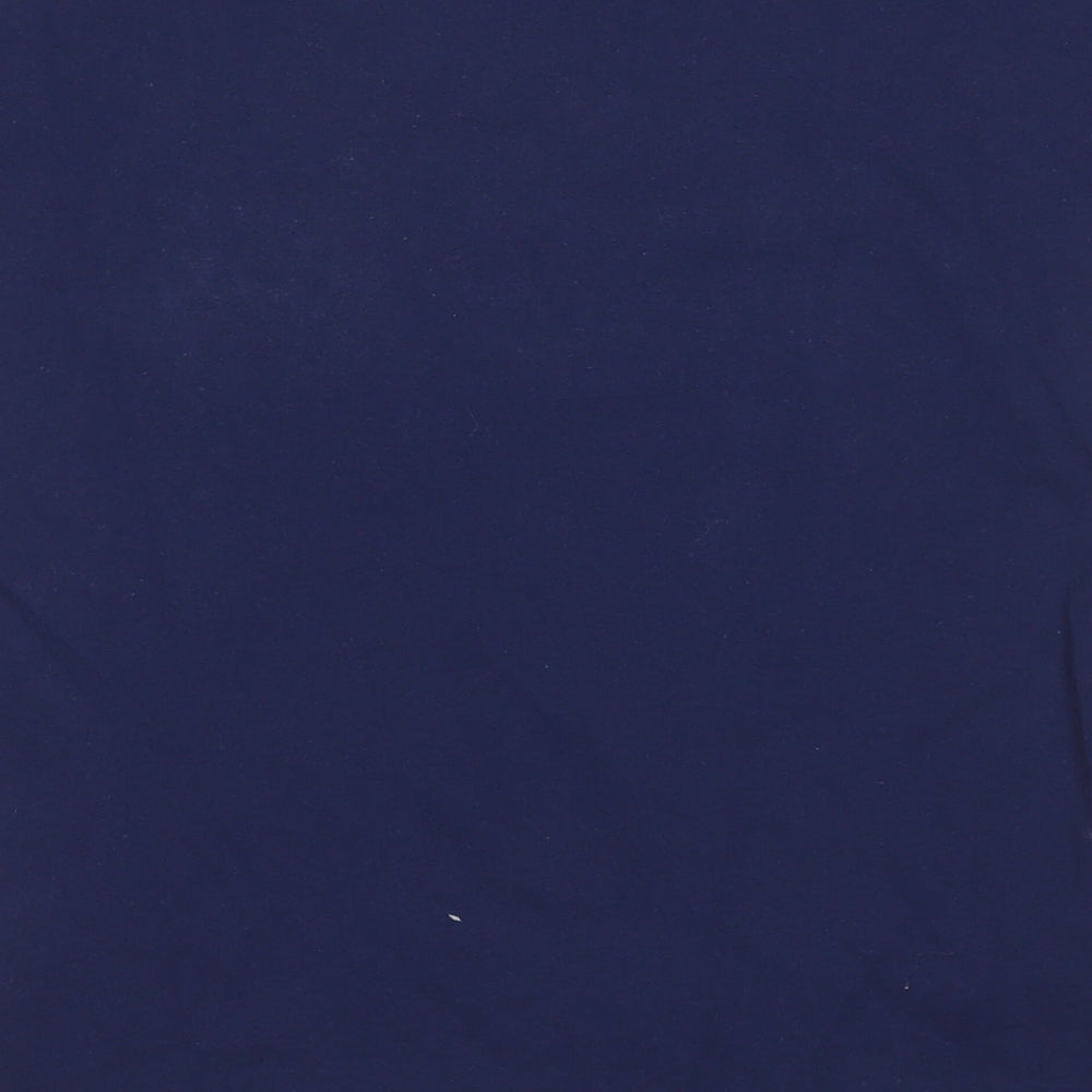 Fruit of the Loom Boys Blue Cotton Basic T-Shirt Size 9-10 Years Round Neck - I paused my game to be here