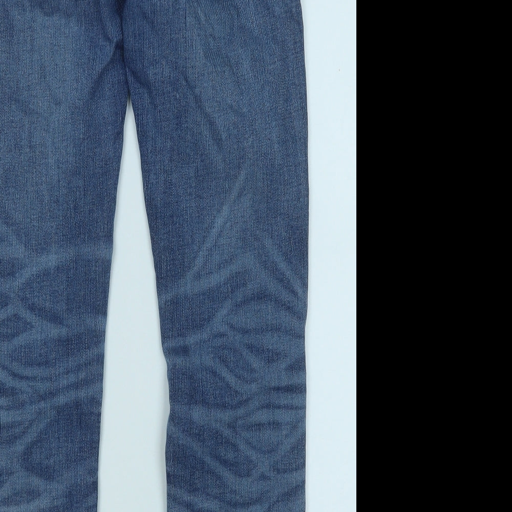 American Eagle Outfitters Mens Blue Cotton Straight Jeans Size 29 in L32 in Regular