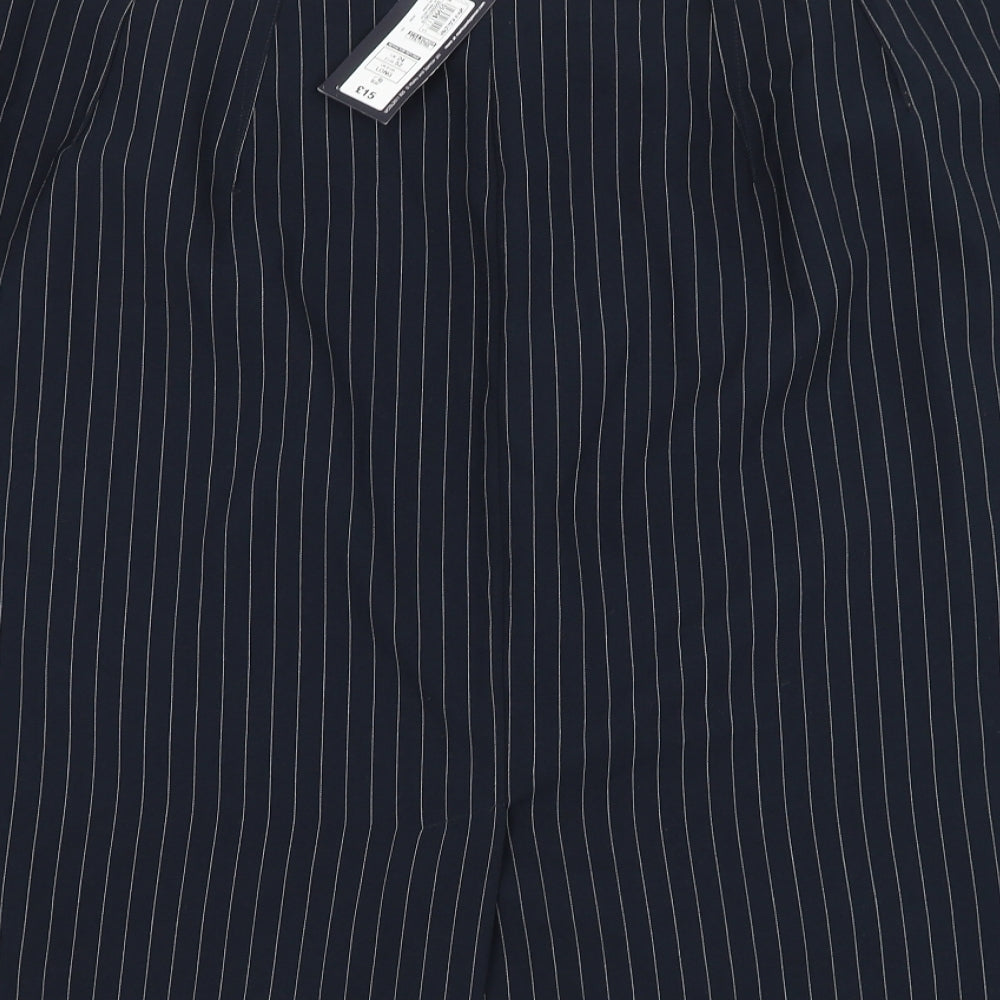 Marks and Spencer Womens Blue Striped Polyester A-Line Skirt Size 24 Zip