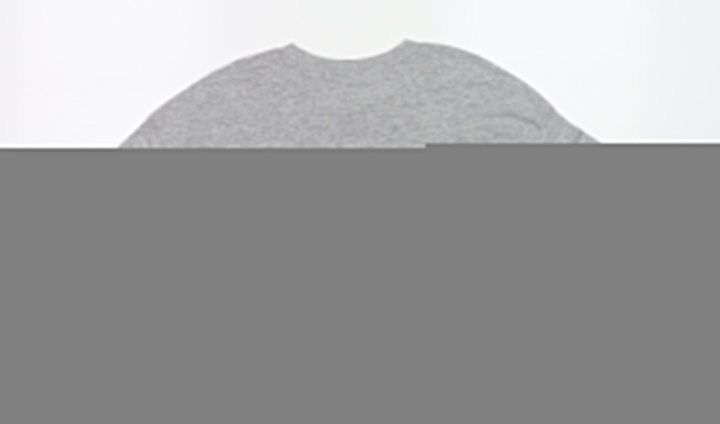 Lefties Womens Grey Polyester Cropped T-Shirt Size M Round Neck