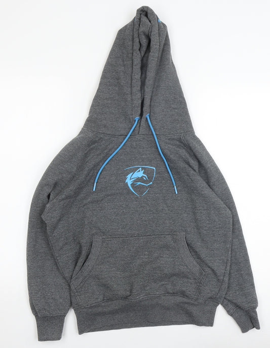 Alphalete Mens Grey Hoodie XS with Logo