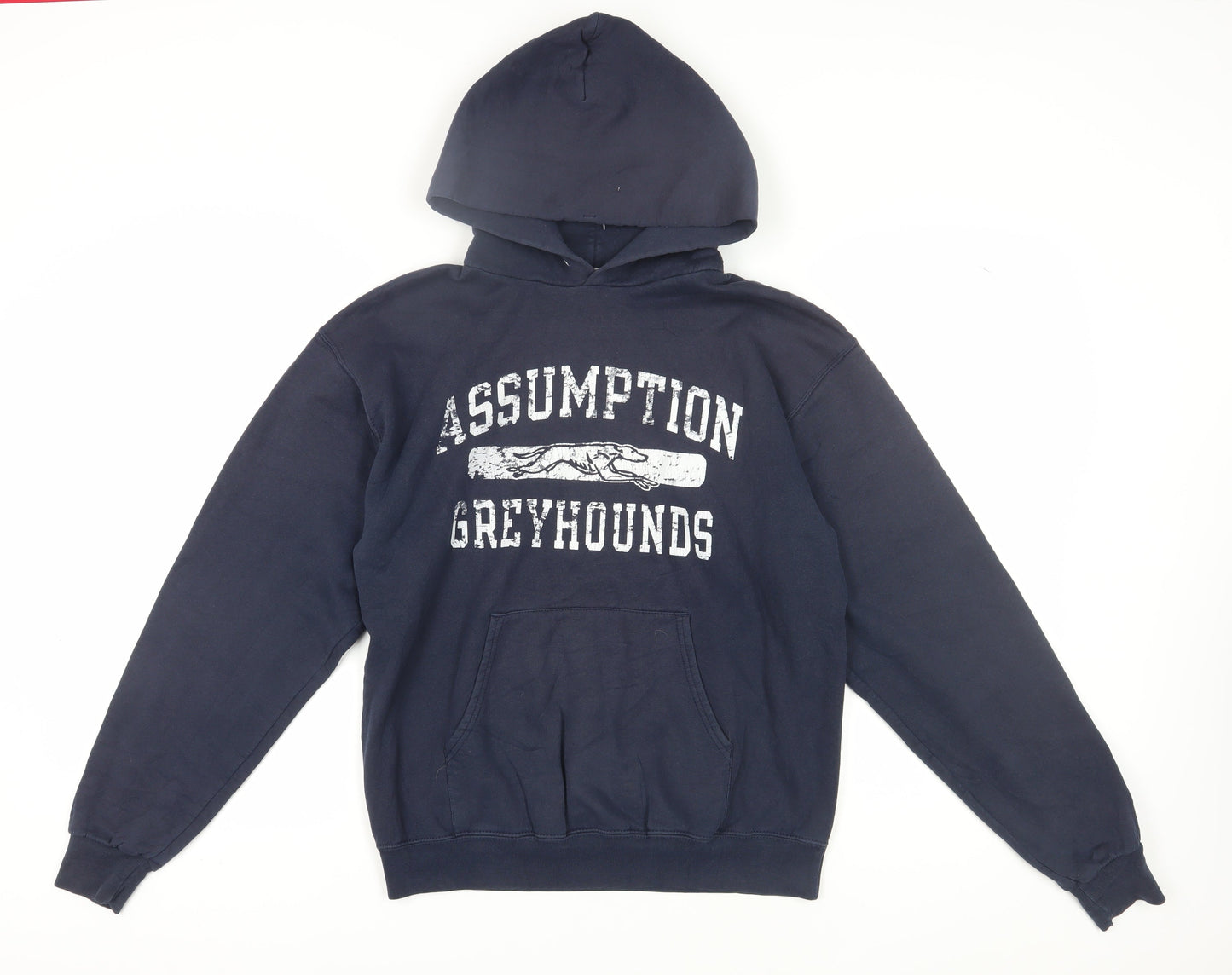 Champion Blue Hoodie Unisex Adult Medium Pullover