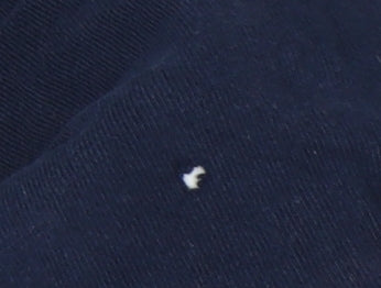 Champion Men's Blue M Athletic T-Shirt