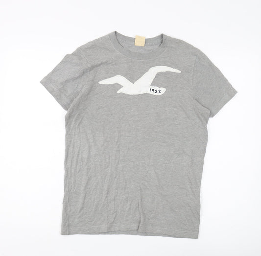 Hollister Men's Grey S T-Shirt