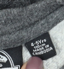 Additional view of Jurassic World boys’ grey sweatshirt 4-5 years pullover