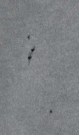 Hugo Boss Men's Blue Graphic Print T-Shirt (M)