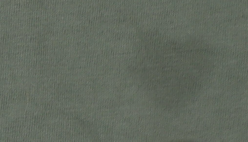 Hollister Men's Green Crew Neck T-Shirt Size L