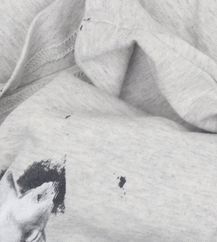 AllSaints Men's Grey Animal Graphic T-Shirt M
