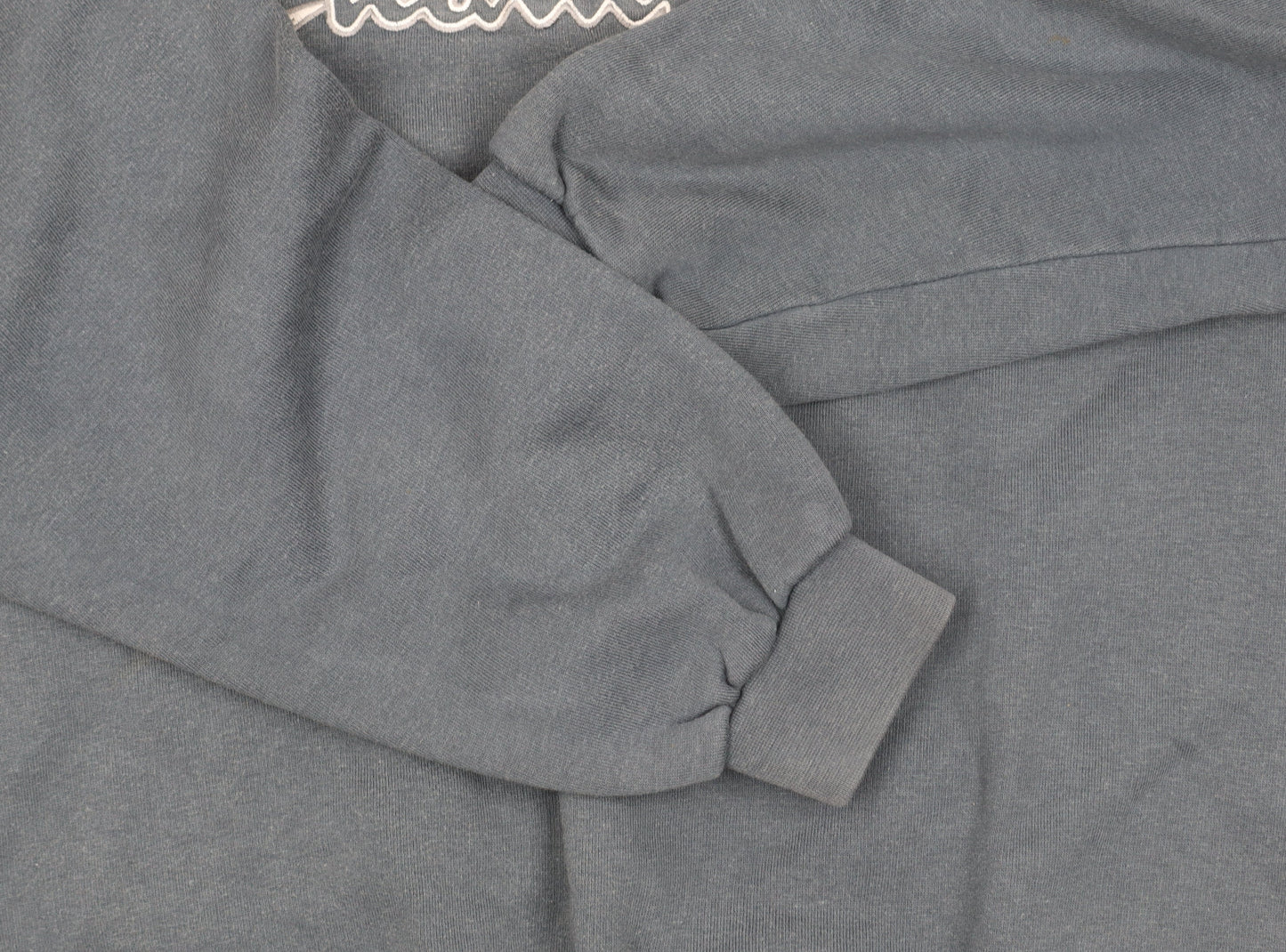 Champion Men's Blue Pullover Sweatshirt, Large