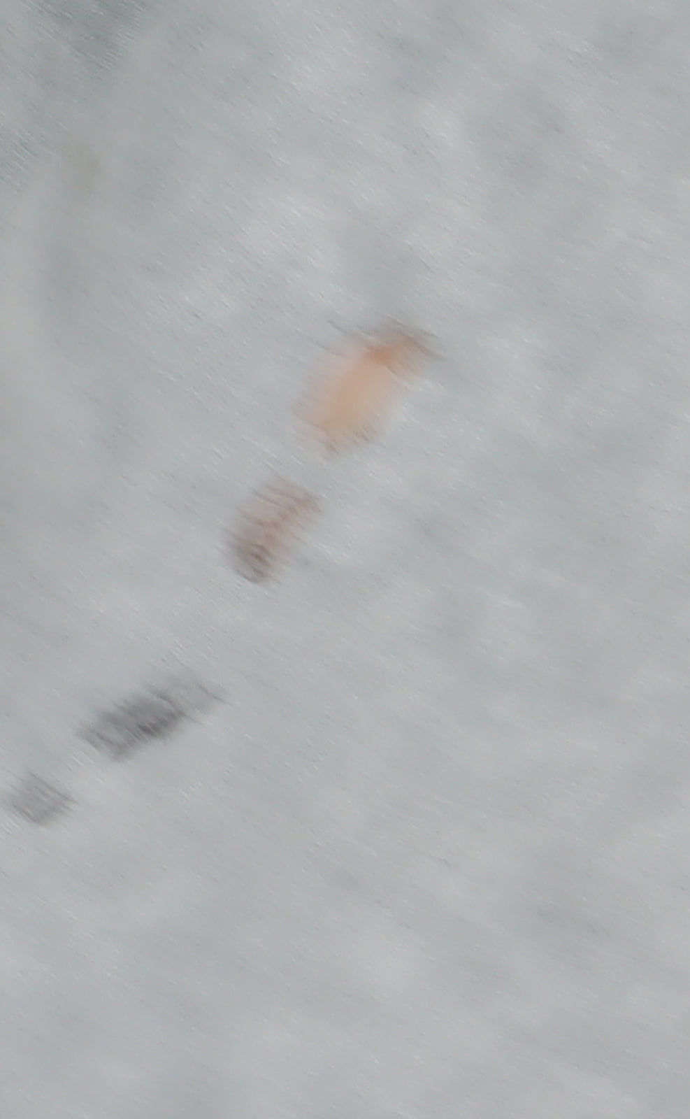 GAP Men's Grey T-Shirt XLT Crew Neck Logo