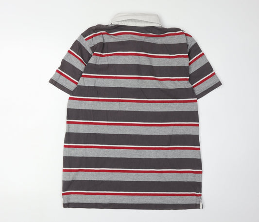 Peter Storm Men's Multicoloured Striped Polo M