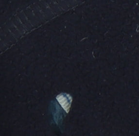 Craghoppers Men's Blue M 1/2 Zip Fleece Sweatshirt