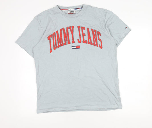 Tommy Jeans Men's Grey XL Regular Fit T-Shirt