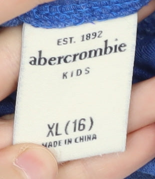 Additional view of Abercrombie & Fitch boys’ blue xl pullover hoodie, graphic logo