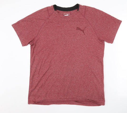 Additional front view of Puma Men's Red T-Shirt M | Gym & Training Activewear