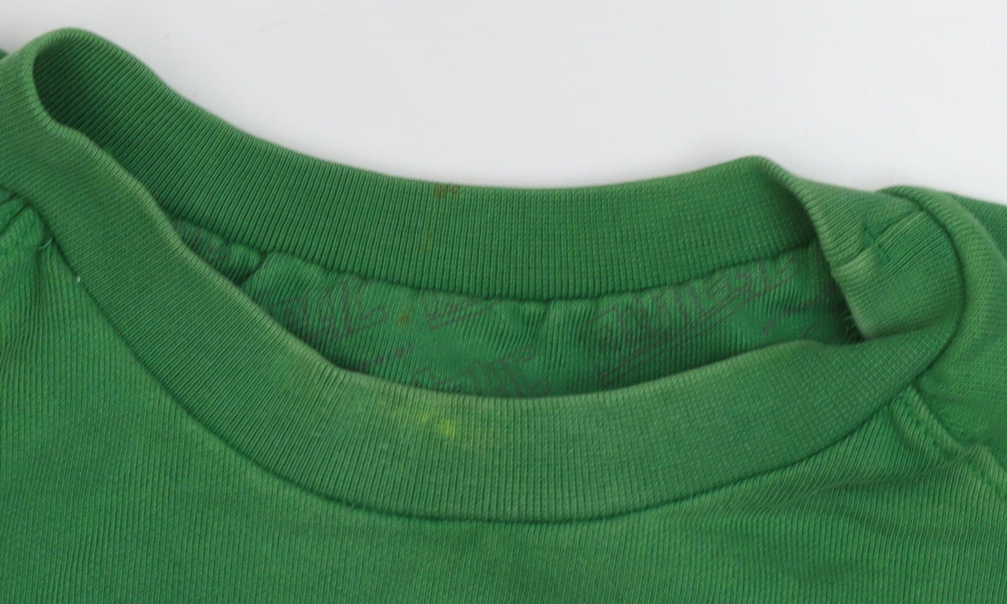 Champion Men's Green Pullover Sweatshirt L Graphic