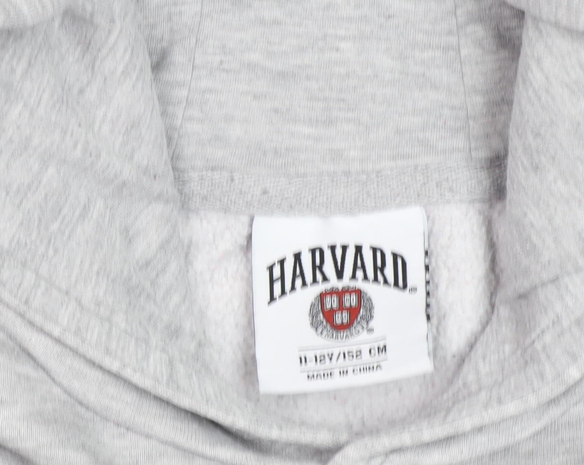 Close-up detail of Harvard boys’ grey hoodie, 11-12 years, pull-over, fleece
