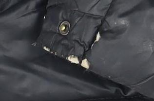 Tommy Hilfiger Women's Black Puffer Jacket, XS