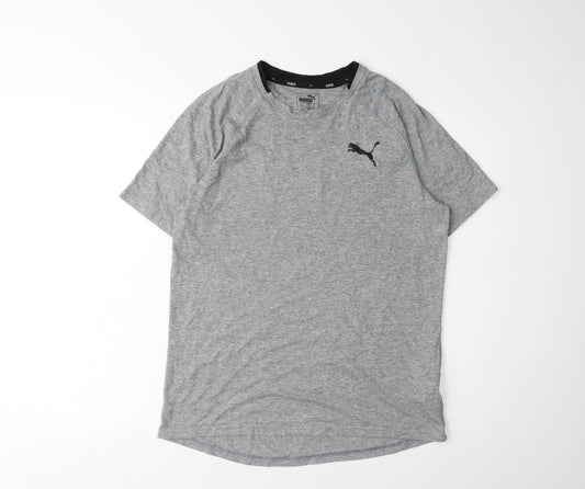 Puma Men's Grey T-Shirt, Size S, Logo Accents, Activewear