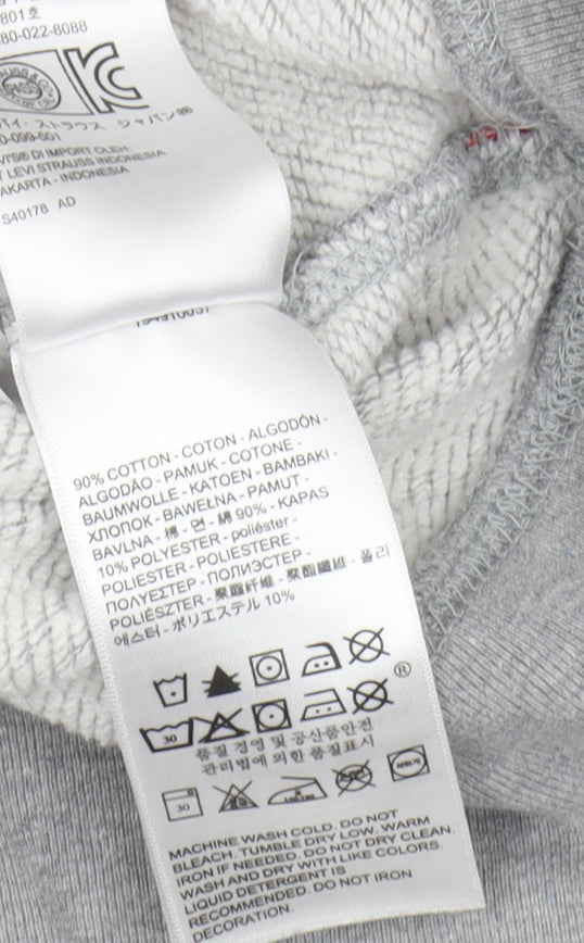 Levi's Men's Grey Pullover Hoodie, Size S