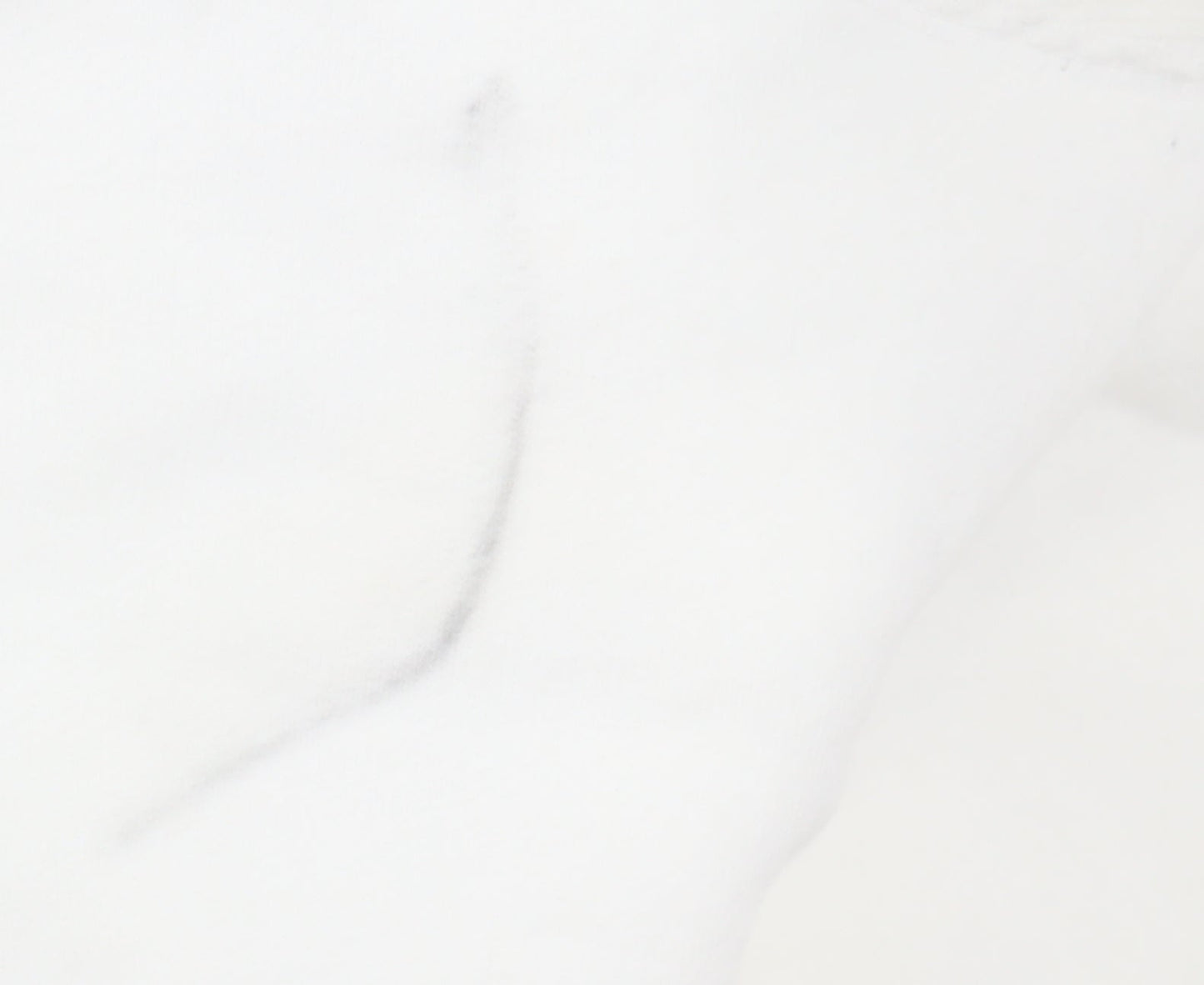 Champion Men's White Hoodie L Pullover Cotton Logo