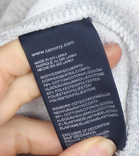 Hilfiger Denim Men’s Grey Pullover Hoodie, Large