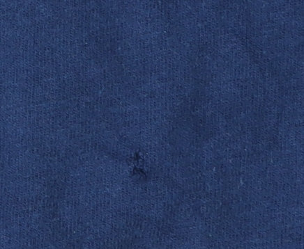 Champion Men's Blue XL Pullover Hoodie, Logo Accent