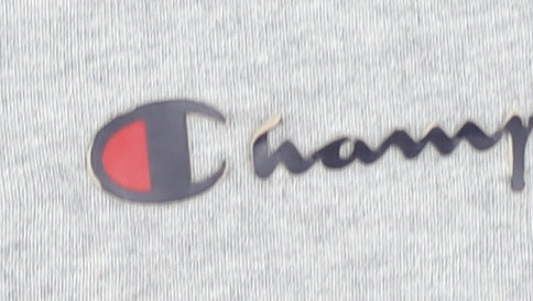 Champion Men's Grey Medium Pullover Hoodie