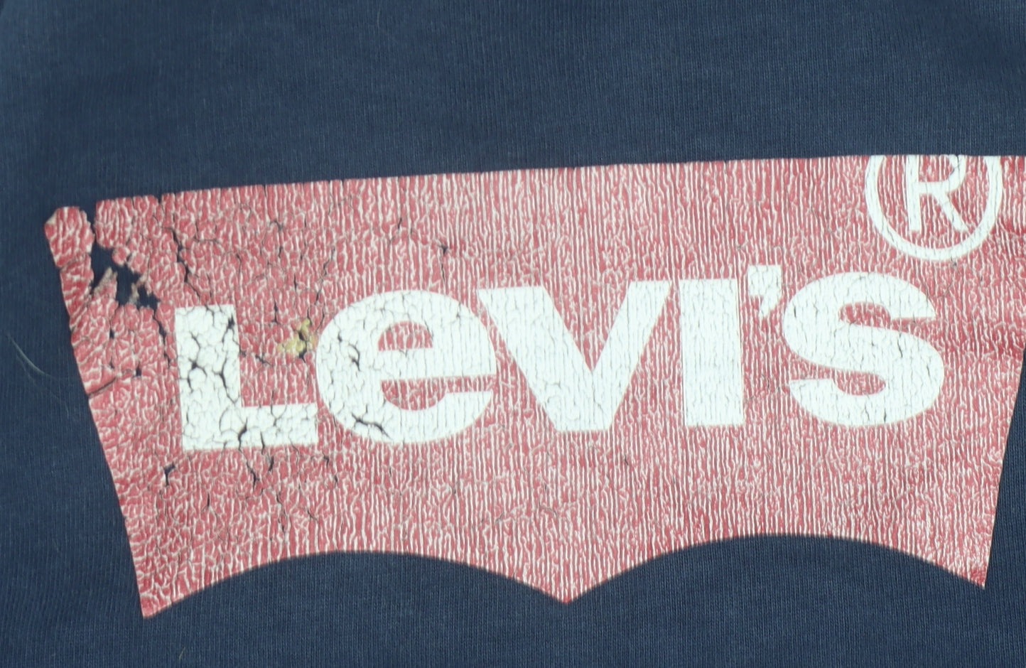 Levi's Boys Blue Pullover Hoodie - 16 Years, Graphic Logo