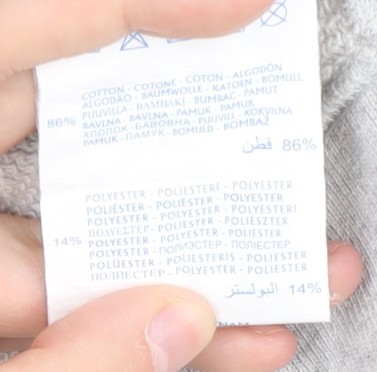 Champion Men’s Grey Large Pullover Hoodie with Logo