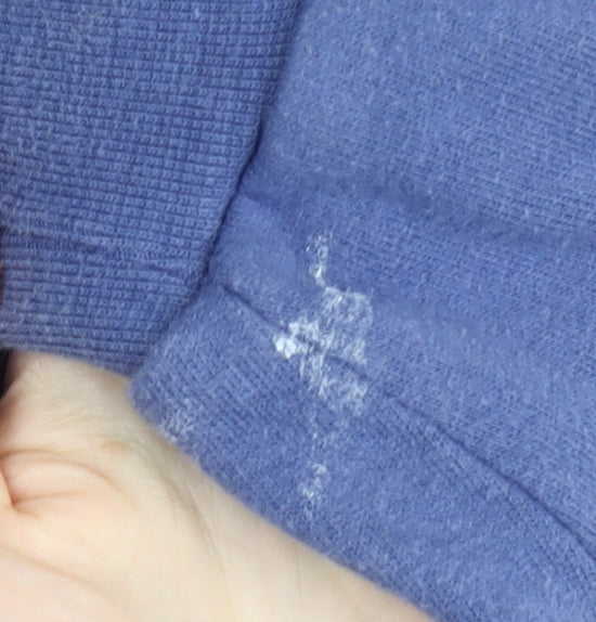 Champion Men’s Blue Pullover Hoodie - Small