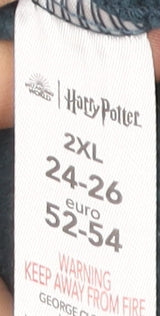 Harry Potter Unisex Blue 2XL Pullover Graphic Sweatshirt