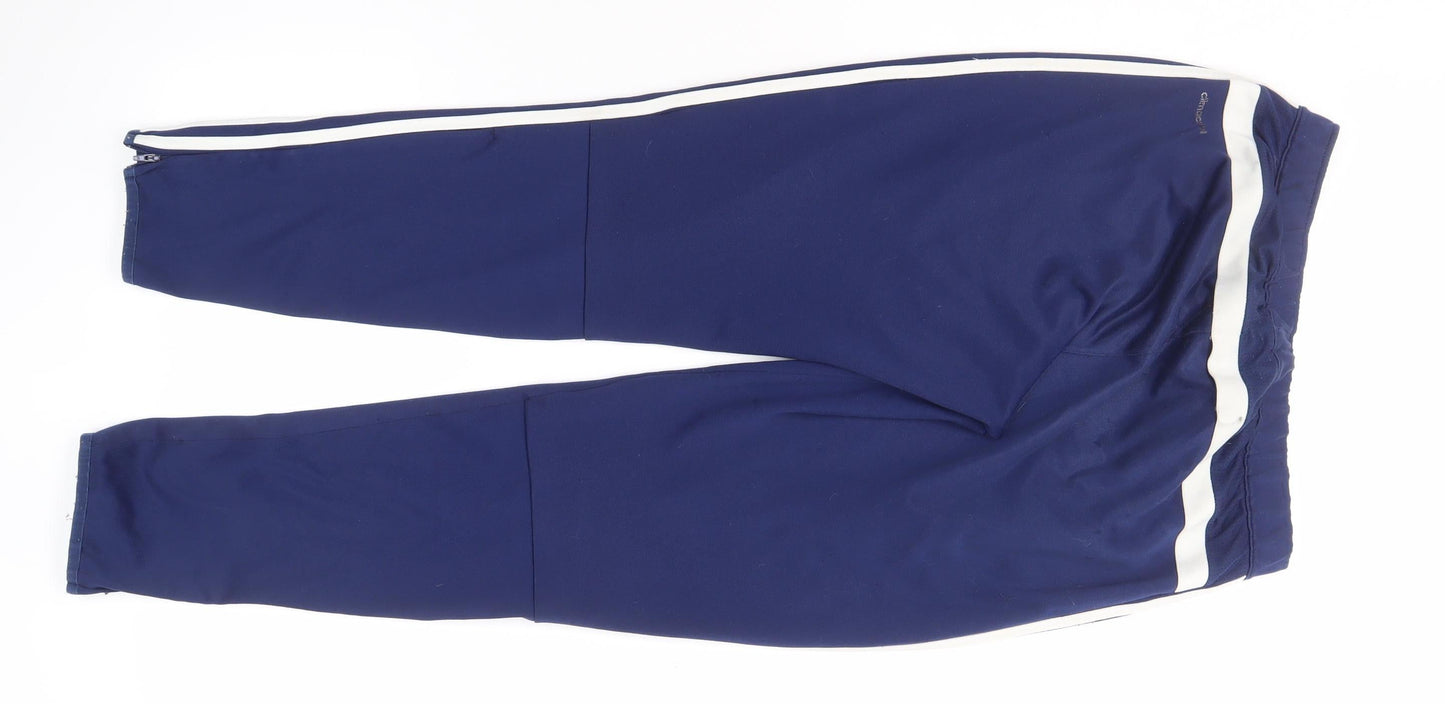 Adidas Men's Blue Track Pants, M, Gym Training Activity