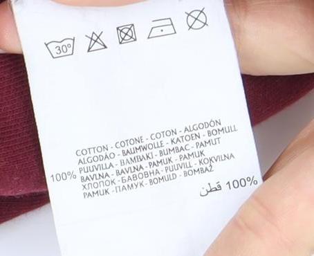 Champion Men's Red Pullover Hoodie, M, Logo Detail