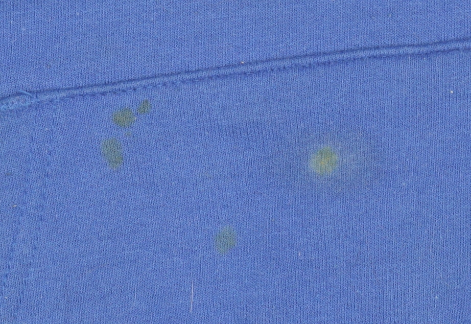 Champion Men’s Blue 2XL Pullover Hoodie