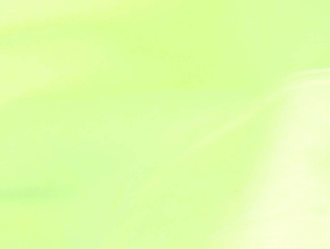 Champion Men's Pullover Hoodie Medium