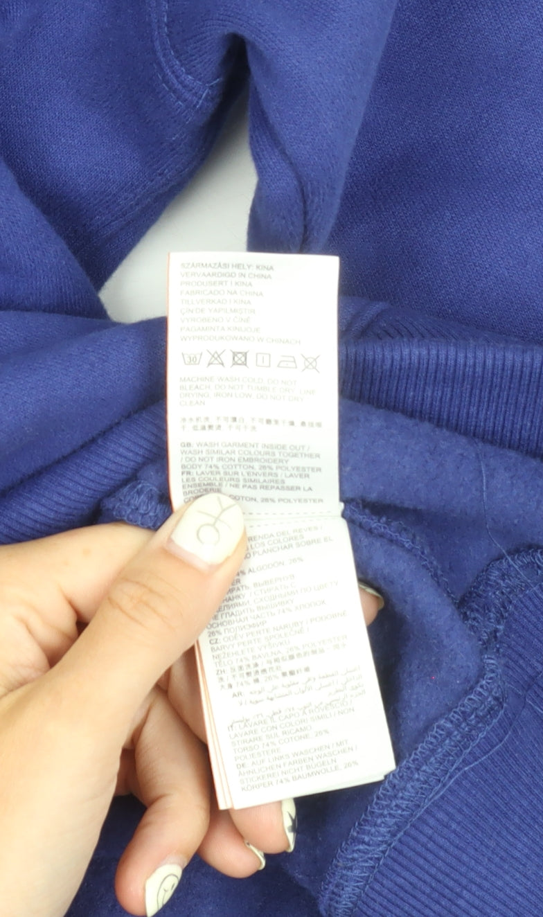 Superdry Men's Blue Pullover Hoodie 2XL
