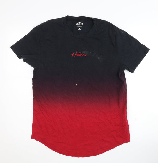 Hollister Men's Multicoloured M Curved Hem T-Shirt