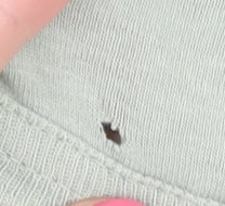 Champion Men's Green XL Long Sleeve T-Shirt