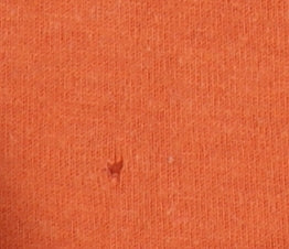 Laura Ashley Men's Orange Cotton V-Neck T-Shirt S