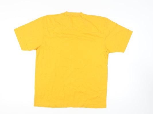 Hawkshead Men's Yellow V-Neck T-Shirt M