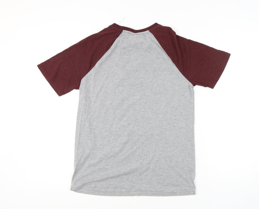 Harry Potter Men's Gryffindor T-Shirt Small Grey