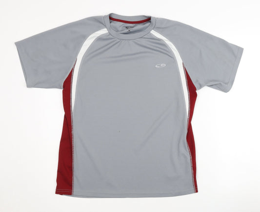 Champion Men's Grey T-Shirt M Raglan Quick Dry